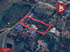 ขายที่ดินพร้อมสิ่งปลูกสร้าง เนื้อที่ 1 ไร่ 2 งาน 77 ตร.วา เชียงดาว เชียงใหม่-202510011559121759309152050.jpg