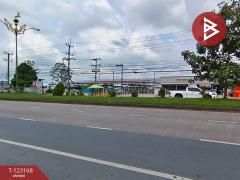 ขายที่ดินพร้อมสิ่งปลูกสร้าง เนื้อที่ 1 งาน 20.1 ตร.วา โพธิ์เสด็จ นครศรีธรรมราช-202510011620461759310446585.jpg