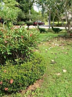 ขายที่ดินติดแม่น้ำแควน้อย กาญจนบุรี อำเภอไทรโยค ตำบลสิงห์  ถมแล้ว แบ่งขายได้ 1 ไร่-202510011823511759317831629.jpg