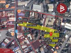 ขายที่ดิน ศรีกุญชร เนื้อที่ 7 ไร่ 87 ตร.วา พนัสนิคม ชลบุรี-202510011920241759321224949.jpg