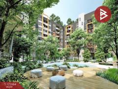 ขายคอนโด แบงค์คอก ฮอไรซอน ไลท์ แอท สถานีเพชรเกษม48 (Bangkok Horizon Lite @ Phekasem48 Station) กรุงเทพมหานคร-202510020132341759343554864.jpg