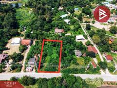 ขายที่ดิน เนื้อที่ 1 งาน 99 ตร.วา หนองขาหย่าง อุทัยธานี