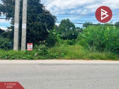 ขายที่ดิน เนื้อที่ 1 งาน 99 ตร.วา หนองขาหย่าง อุทัยธานี-202510020151101759344670547.jpg