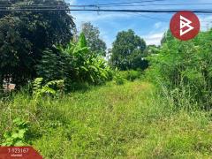 ขายที่ดิน เนื้อที่ 1 งาน 99 ตร.วา หนองขาหย่าง อุทัยธานี-202510020151111759344671081.jpg