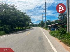 ขายที่ดิน เนื้อที่ 1 งาน 99 ตร.วา หนองขาหย่าง อุทัยธานี-202510020151111759344671617.jpg