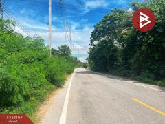 ขายที่ดิน เนื้อที่ 1 งาน 99 ตร.วา หนองขาหย่าง อุทัยธานี-202510020151121759344672137.jpg