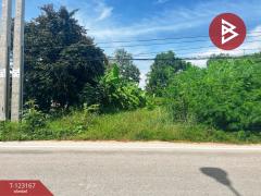 ขายที่ดิน เนื้อที่ 1 งาน 99 ตร.วา หนองขาหย่าง อุทัยธานี-202510020151121759344672662.jpg