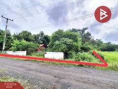 ขายที่ดิน เนื้อที่ 2 ไร่ 2 งาน 86 ตร.วา จังหาร ร้อยเอ็ด-202510020409321759352972972.jpg