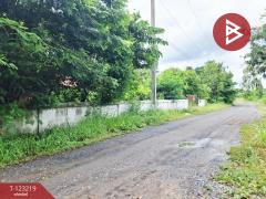 ขายที่ดิน เนื้อที่ 2 ไร่ 2 งาน 86 ตร.วา จังหาร ร้อยเอ็ด-202510020409351759352975565.jpg