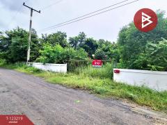 ขายที่ดิน เนื้อที่ 2 ไร่ 2 งาน 86 ตร.วา จังหาร ร้อยเอ็ด-202510020409361759352976087.jpg