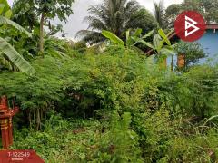 ขายที่ดิน เนื้อที่ 81.7 ตร.วา แกลง ระยอง-202510020936471759372607466.jpg