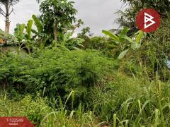 ขายที่ดิน เนื้อที่ 81.7 ตร.วา แกลง ระยอง-202510020936471759372607989.jpg