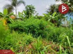 ขายที่ดิน เนื้อที่ 81.7 ตร.วา แกลง ระยอง-202510020936481759372608556.jpg