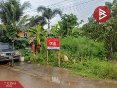 ขายที่ดิน เนื้อที่ 81.7 ตร.วา แกลง ระยอง-202510020936501759372610132.jpg