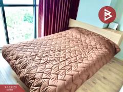 ขาย/เช่าคอนโด เอสเพน ลาซาล (Aspen Lasalle) กรุงเทพมหานคร-202510021132011759379521475.jpg