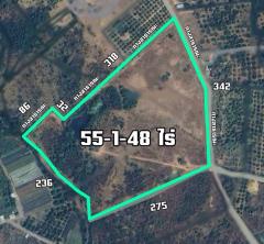 ขายที่ดิน 55-1-48 ไร่ อ.บ้านโฮ่ง ลำพูน-202510021209591759381799383.jpg