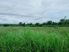 ขายที่ดิน 55-1-48 ไร่ อ.บ้านโฮ่ง ลำพูน-202510021210031759381803766.jpg