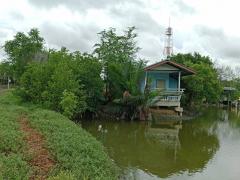 ขายเติมจันทร์โฮมสเตย์ ถนนโครงข่ายถนนเลียบชายฝั่งทะเลตะวันตก ต. บางตะบูน อ.บ้านแหลม จ.เพชรบุรี-202510021405001759388700630.jpg