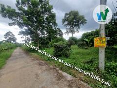 ที่ดิน ศิลาดาน จ.ชัยนาท 8ไร่ 2 งาน 49 ตร.ว. โฉนด ครุฑแดง ใกล้แม่น้ำเจ้าพระยา