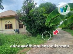 ที่ดิน ศิลาดาน จ.ชัยนาท 8ไร่ 2 งาน 49 ตร.ว. โฉนด ครุฑแดง ใกล้แม่น้ำเจ้าพระยา-202510021512121759392732263.jpg