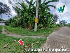 ที่ดิน ศิลาดาน จ.ชัยนาท 8ไร่ 2 งาน 49 ตร.ว. โฉนด ครุฑแดง ใกล้แม่น้ำเจ้าพระยา-202510021512121759392732902.jpg