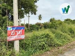 ที่ดิน ศิลาดาน จ.ชัยนาท 8ไร่ 2 งาน 49 ตร.ว. โฉนด ครุฑแดง ใกล้แม่น้ำเจ้าพระยา-202510021512131759392733557.jpg