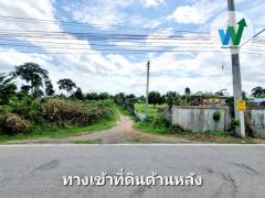 ที่ดิน ศิลาดาน จ.ชัยนาท 8ไร่ 2 งาน 49 ตร.ว. โฉนด ครุฑแดง ใกล้แม่น้ำเจ้าพระยา-202510021512141759392734041.jpg