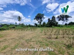 ที่ดิน ศิลาดาน จ.ชัยนาท 8ไร่ 2 งาน 49 ตร.ว. โฉนด ครุฑแดง ใกล้แม่น้ำเจ้าพระยา-202510021512141759392734523.jpg