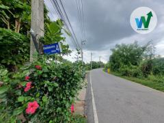 ที่ดิน ศิลาดาน จ.ชัยนาท 8ไร่ 2 งาน 49 ตร.ว. โฉนด ครุฑแดง ใกล้แม่น้ำเจ้าพระยา-202510021512161759392736300.jpg