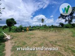 ที่ดิน ศิลาดาน จ.ชัยนาท 8ไร่ 2 งาน 49 ตร.ว. โฉนด ครุฑแดง ใกล้แม่น้ำเจ้าพระยา-202510021512161759392736974.jpg