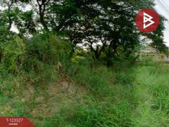 ขายที่ดิน เนื้อที่ 3 งาน 68.1 ตารางวา บ้านโฮ่ง ลำพูน-202510021519001759393140823.jpg