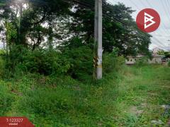 ขายที่ดิน เนื้อที่ 3 งาน 68.1 ตารางวา บ้านโฮ่ง ลำพูน-202510021519011759393141354.jpg