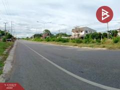 ขายที่ดิน เนื้อที่ 3 งาน 68.1 ตารางวา บ้านโฮ่ง ลำพูน-202510021519021759393142394.jpg