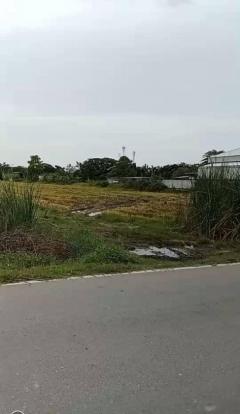 ขายที่ดินเปล่า ซอยลำลูกกา 151 (คลอง 8) เนื้อที่ 13-0-59 ไร่  ถนนลำลูกกา 3312 ตำบลลำลูกกา อำเภอลำลูกกา จังหวัดปทุมธานี