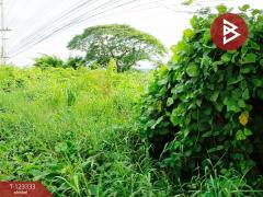 ขายที่ดิน เนื้อที่ 1 ไร่ 5 ตารางวา อ.บ้านโฮ่ง ลำพูน ทำเลดีติดถนน-202510021555231759395323270.jpg