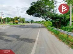 ขายที่ดิน เนื้อที่ 1 ไร่ 5 ตารางวา อ.บ้านโฮ่ง ลำพูน ทำเลดีติดถนน-202510021555241759395324602.jpg