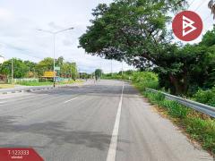 ขายที่ดิน เนื้อที่ 1 ไร่ 5 ตารางวา อ.บ้านโฮ่ง ลำพูน ทำเลดีติดถนน-202510021555251759395325183.jpg