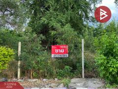 ขายที่เปล่าในหมู่บ้านวังทรัพย์สิน เนื้อที่ 62.9 ตารางวา วังน้อย พระนครศรีอยุธยา