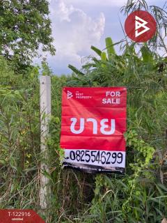 ขายที่เปล่าในหมู่บ้านวังทรัพย์สิน เนื้อที่ 62.9 ตารางวา วังน้อย พระนครศรีอยุธยา-202510021636131759397773725.jpg