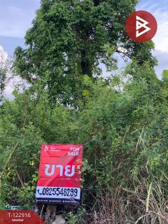 ขายที่เปล่าในหมู่บ้านวังทรัพย์สิน เนื้อที่ 62.9 ตารางวา วังน้อย พระนครศรีอยุธยา-202510021636141759397774246.jpg