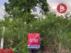 ขายที่เปล่าในหมู่บ้านวังทรัพย์สิน เนื้อที่ 62.9 ตารางวา วังน้อย พระนครศรีอยุธยา-202510021636141759397774768.jpg