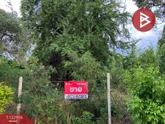 ขายที่เปล่าในหมู่บ้านวังทรัพย์สิน เนื้อที่ 62.9 ตารางวา วังน้อย พระนครศรีอยุธยา-202510021636151759397775306.jpg