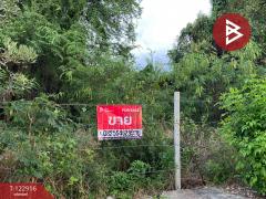 ขายที่เปล่าในหมู่บ้านวังทรัพย์สิน เนื้อที่ 62.9 ตารางวา วังน้อย พระนครศรีอยุธยา-202510021636151759397775856.jpg