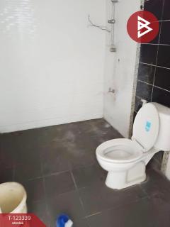 ขายอาคารพาณิชย์ 2 ชั้น เนื้อที่ 21.2 ตารางวา อ.บ้านโฮ่ง ลำพูน ทำเลดี-202510021645251759398325124.jpg