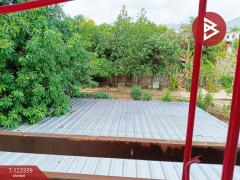 ขายอาคารพาณิชย์ 2 ชั้น เนื้อที่ 21.2 ตารางวา อ.บ้านโฮ่ง ลำพูน ทำเลดี-202510021645261759398326184.jpg