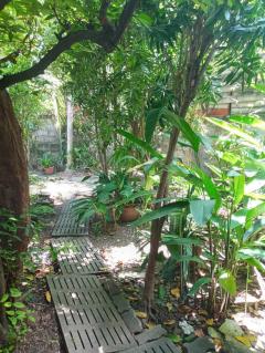 ขายทาวเฮ้าส์ สุขุมวิท 99  3 ห้องนอน 2 ห้องน้ำ บางจาก พระโขนง กทม. เนื้อที่ 45 ตารางวา -202510021650351759398635601.jpg