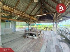 ขายบ้านเดี่ยว เนื้อที่ 3 งาน 91.4 ตารางวา แหลมใหญ่ วิวริมทะเลปากอ่าว สมุทรสงคราม-202510021952091759409529458.jpg