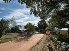 ขายถูกมาก!! ที่ดิน 84 ตร.ว. ทำเลทอง ติดถนน ติดบึงโขงหลง อ.บึงโขงหลง จ.บึงกาฬ ใจกลางย่านเศรษฐกิจ-202510022027381759411658870.jpg