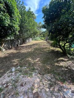 ขายถูกมาก!! ที่ดิน 84 ตร.ว. ทำเลทอง ติดถนน ติดบึงโขงหลง อ.บึงโขงหลง จ.บึงกาฬ ใจกลางย่านเศรษฐกิจ-202510022027411759411661137.jpg