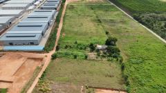 ที่ดิน แบ่งขาย ติดโรงงาน พนัสนิคม นาวังหิน ใกล้ถนน 331 เพียง 1.3 กม.-202510022150451759416645987.jpg